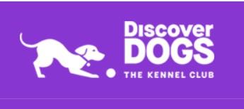 discover dogs