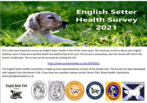 English Setter Health Survey